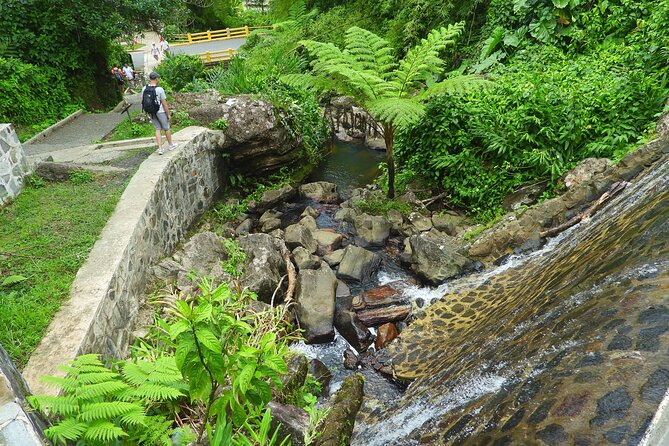 USDA El Yunque National Forest and Luquillo Beach Tour - Final verdict: book it if water time isn’t a problem for you