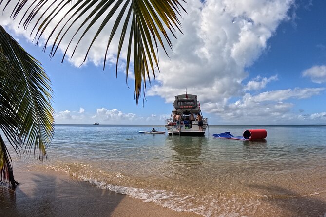 Vieques All-Inclusive: Swim with Turtles & Enjoy Pristine Beaches - Key highlights at a glance