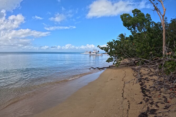Vieques All-Inclusive: Swim with Turtles & Enjoy Pristine Beaches - Snorkeling around Vieques: turtles, coral reefs, and a guided rhythm
