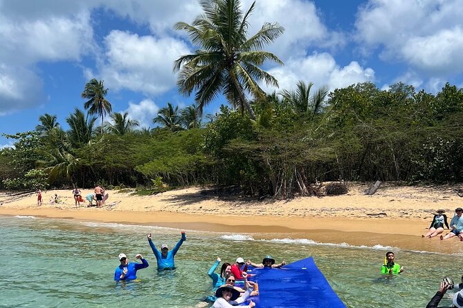 Vieques All-Inclusive: Swim with Turtles & Enjoy Pristine Beaches - Lunch that actually fits the day: deli buffet + all-day drinks (rum after lunch)