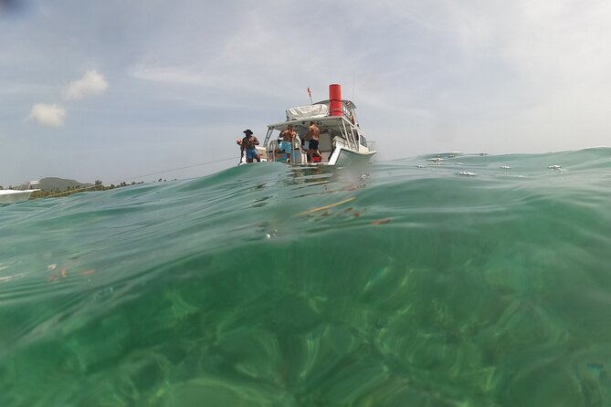 Vieques All-Inclusive: Swim with Turtles & Enjoy Pristine Beaches - Beach time on Vieques-area shores: relaxing without the planning headache
