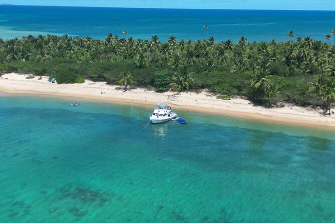 Vieques All-Inclusive: Swim with Turtles & Enjoy Pristine Beaches - The boat experience: open water, comfort limits, and group flow