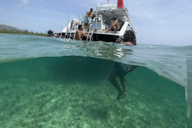 Vieques All-Inclusive: Swim with Turtles & Enjoy Pristine Beaches - What you’ll love most—and what might not be for everyone