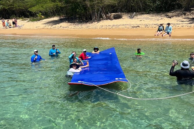 Vieques All-Inclusive: Swim with Turtles & Enjoy Pristine Beaches - Tips to make your morning and water time smoother