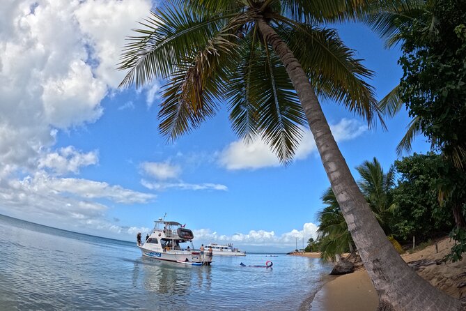 Vieques All-Inclusive: Swim with Turtles & Enjoy Pristine Beaches - When Vieques conditions aren’t ideal: backup reefs and island hopping