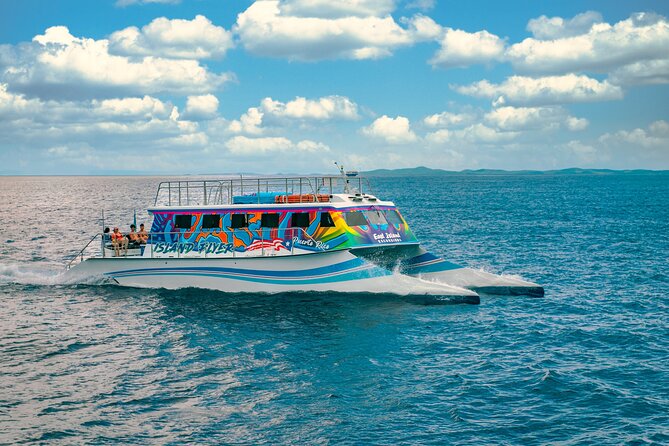 Vieques: Beach and Snorkeling Tour by Catamaran from Fajardo - Who this tour is best for (and who should pick something else)