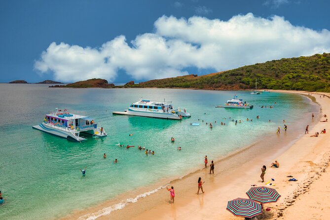 Vieques: Beach and Snorkeling Tour by Catamaran from Fajardo - Timing, meeting point, and what to do before you go