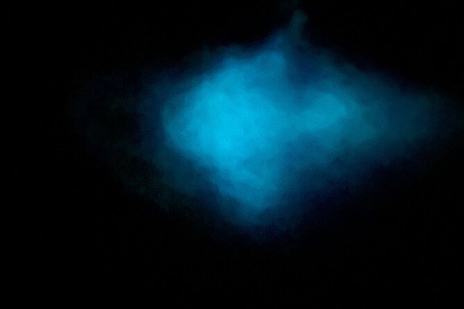Vieques Bio Bay Tour and Beach Day Trip from San Juan by Ferry - One-Day Route to Vieques: Ferry Time and the Big Picture
