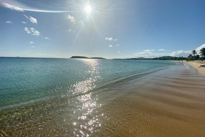 Vieques Bio Bay Tour and Beach Day Trip from San Juan by Ferry - Timing for Brighter Bioluminescence: How to Think About the Moon