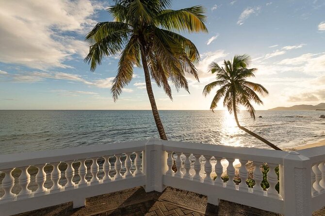 Vieques Bio Bay Tour and Beach Day Trip from San Juan by Ferry - Return to Ceiba and Late-Night Back to San Juan