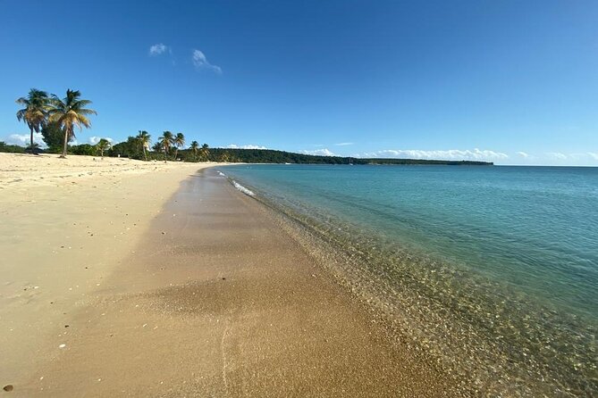 Vieques Bio Bay Tour and Beach Day Trip from San Juan by Ferry - Price and Value: What $230 Really Buys You