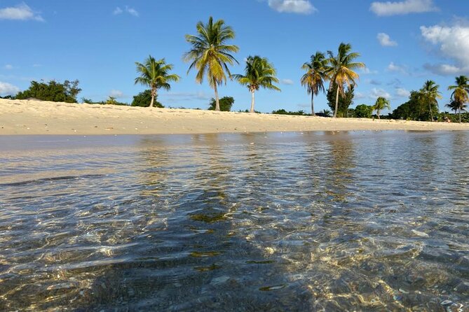 Vieques Bio Bay Tour and Beach Day Trip from San Juan by Ferry - San Juan Pickup to Ceiba Ferry Terminal: What the First Hours Feel Like