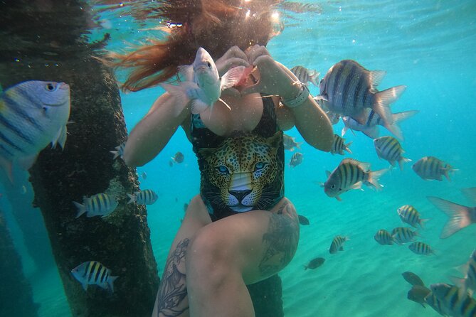 VIP San Juan: Snorkeling Tour with Turtles with Free Videos - Guides make the difference: Luna, Roberto, Andrew, and others