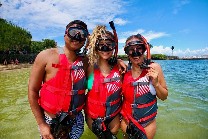 VIP San Juan: Snorkeling Tour with Turtles with Free Videos - Price and value: is $80 fair for this setup?