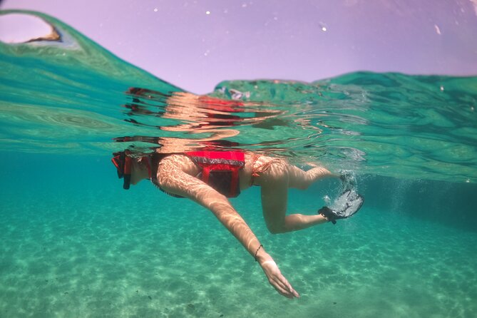 VIP San Juan: Snorkeling Tour with Turtles with Free Videos - When conditions get murky: visibility, crowds, and debris