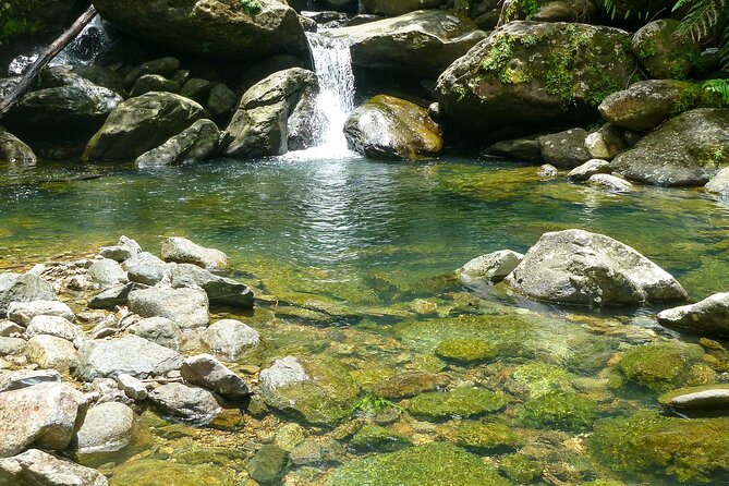 Waterfall Hike in Remote Area of El Yunque Rainforest; San Juan - The Waterfall Hike Route: River Walk, Natural Pools, and a Real Finisher