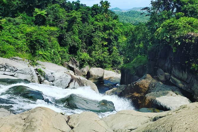 Waterfall Hike in Remote Area of El Yunque Rainforest; San Juan - Pace, Timing, and Group Size (why it feels calmer)