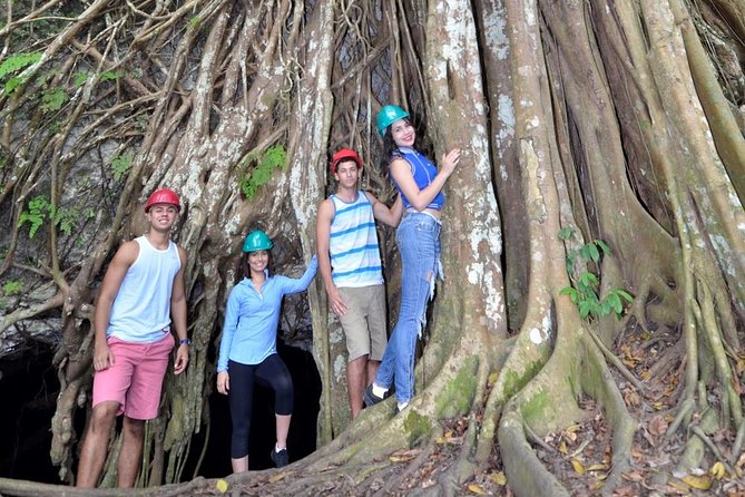 Window Cave Walking Tour from San Juan - Getting from San Juan: what the ride is like and why it matters