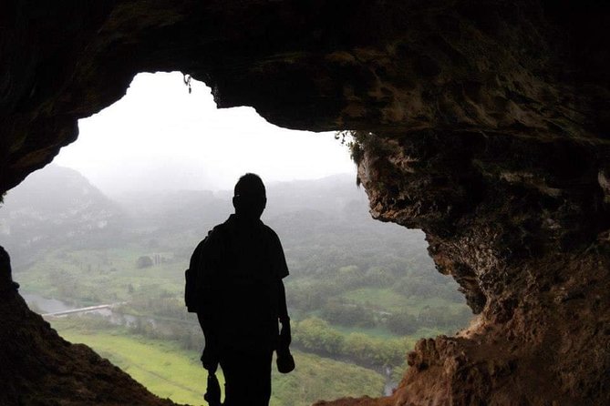 Window Cave Walking Tour from San Juan - The Taíno petroglyphs: the cultural layer that adds weight
