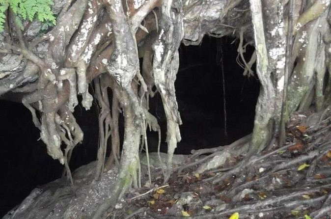 Window Cave Walking Tour from San Juan - The best moment: Caribbean Sea views from the cave openings