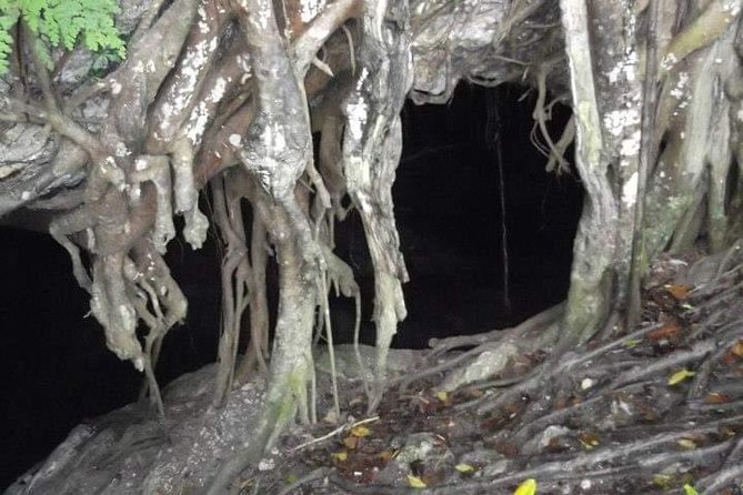 Window Cave Walking Tour from San Juan - What’s included (and the costs that matter)