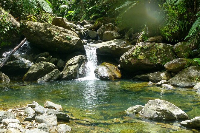 Yunque & Piñones Tour Hike Eat & Adventure with a Local; San Juan - Key points to know before you go