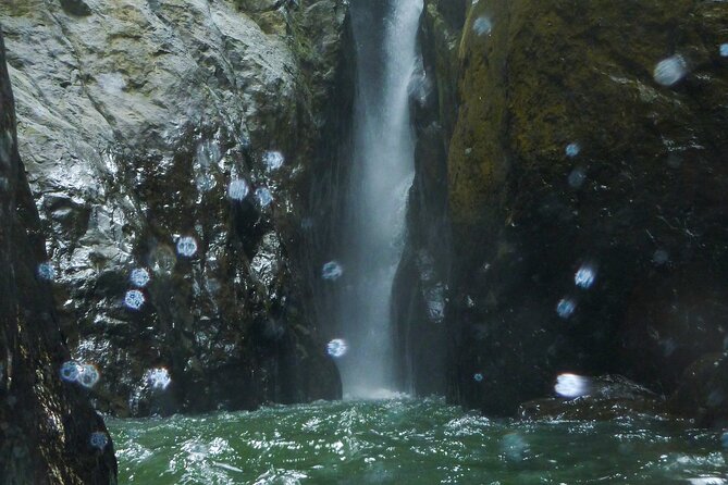Yunque & Piñones Tour Hike Eat & Adventure with a Local; San Juan - Cliff Jumps in Blue Pools: Thrilling, but Safety-First