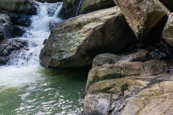 Yunque & Piñones Tour Hike Eat & Adventure with a Local; San Juan - Why This El Yunque Route Works Better Than Crowds