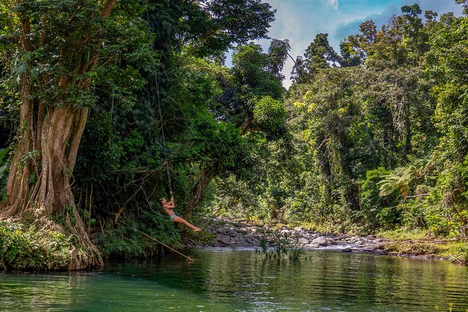 Yunque Rainforest River Rope Swing with Waterslide and Beach Tour - Why this feels different from a typical Yunque day