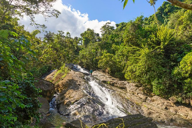 Yunque Rainforest River Rope Swing with Waterslide and Beach Tour - Rio Grande stop: a short rainforest edge hike to a freshwater pool