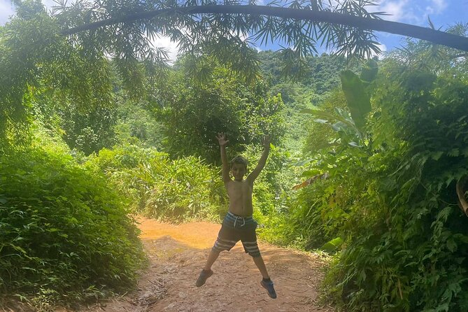 Yunque Rainforest Tour in Puerto Rico - Private, small-group feel: what “up to 4” changes