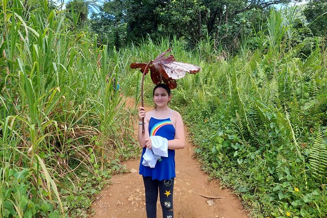 Yunque Rainforest Tour in Puerto Rico - Price and value: what $69 buys you