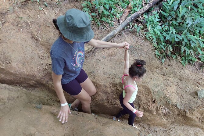 Yunque Rainforest Tour in Puerto Rico - Timing, confirmation, and weather: how to plan smart