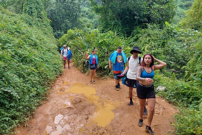 Yunque Rainforest Tour in Puerto Rico - Who this tour suits best