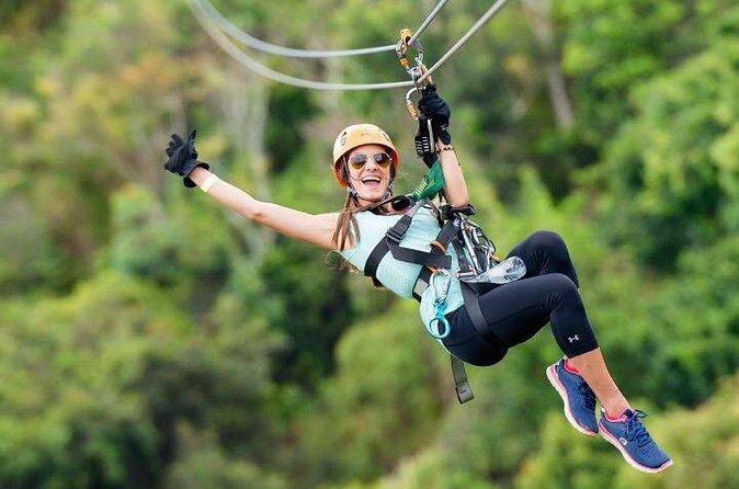 Zipline Adventure Tour - The Course Experience: Eight Ziplines, Changing Speeds, Real Stairs