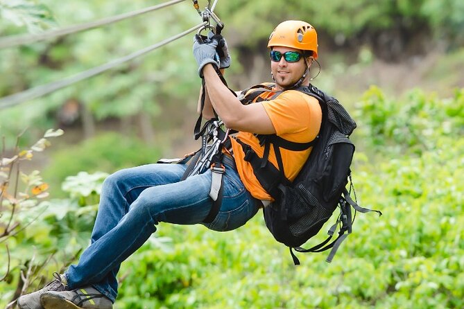 Zipline Adventure Tour - Views Worth the Effort: What You See Above the Trees