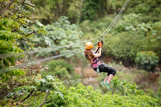 Zipline Adventure Tour - Your Guide, Your Gear, Your Safety: What Happens Before You Fly
