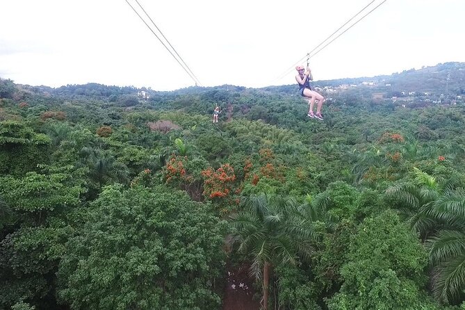 Zipline Canopy Tour with Transport from San Juan - The San Juan Pickup That Makes the Day Feel Easy