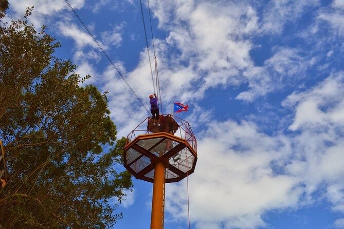 Zipline Canopy Tour with Transport from San Juan - Price and Value: Is $185 Worth It in Puerto Rico?