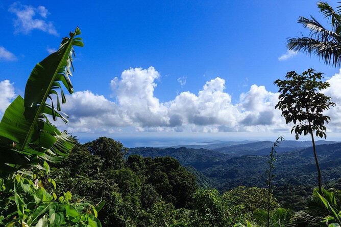 Zipline Canopy Tour with Transport from San Juan - Final Take: Should You Book It?