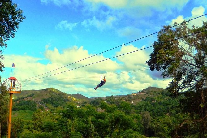 Zipline Canopy Tour with Transport from San Juan - The Walks, Towers, and Stairs: The Part People Don’t Plan For
